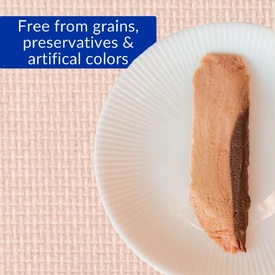 Inaba Cat Grilled Tuna Fillet in Tuna Flavoured Broth Meal Topper Treat - 6-Pack image 1