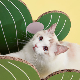 Vetreska Fruity Cardboard Cat Scratcher Post - Cactus  image 1