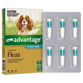 Advantage Spot-On Flea Control Treatment for Dogs 4-10kg - 6-Pack image 1