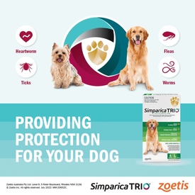 Simparica Trio Flea, Tick & Heartworm Chew for Puppy Dogs 2.6-5kg - 3-Pack image 1