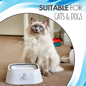 All Fur You Anti Splash Bowl Grey | No Mess Pet Water Bowl 1L image 1