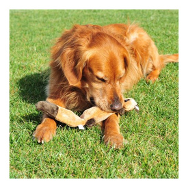 Zippy Paws Stuffing Free Squeaker Dog Toy - Zingy Raccoon image 1