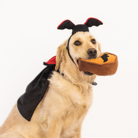Zippy Paws Plush Squeaker Dog Toy - Halloween Costume Kit - Dracula image 1