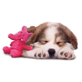 3 x KONG Cozie - Low Stuffing Snuggle Dog Toy - Elmer Elephant - Medium image 1