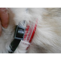 Adaptil Calm - On the Go Collar with Pheromones for Anxious for Dogs & Puppies image 1