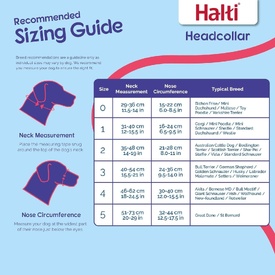 HALTI Headcollar – Gentle Control Halter for Dogs That Pull image 1