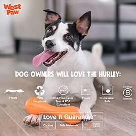 West Paw Hurley Fetch Toy for Tough Dogs - Ruby Red image 1