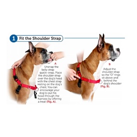 Petsafe Easy Walk Front-Attachment No-Pull Dog Harness image 1