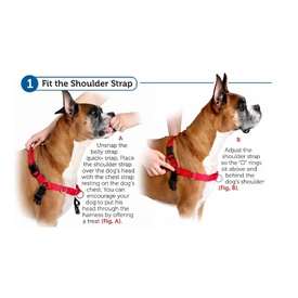 Petsafe Easy Walk Front-Attachment Harness and Lead Set image 1