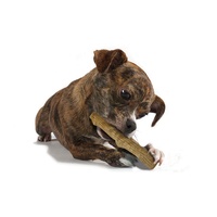 Petstages Durable Dogwood Dog Chew Stick image 1