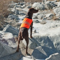 Zippy Paws Adventure Cooling and Outdoor Reflective Dog Safety & Cooling Vest  image 1