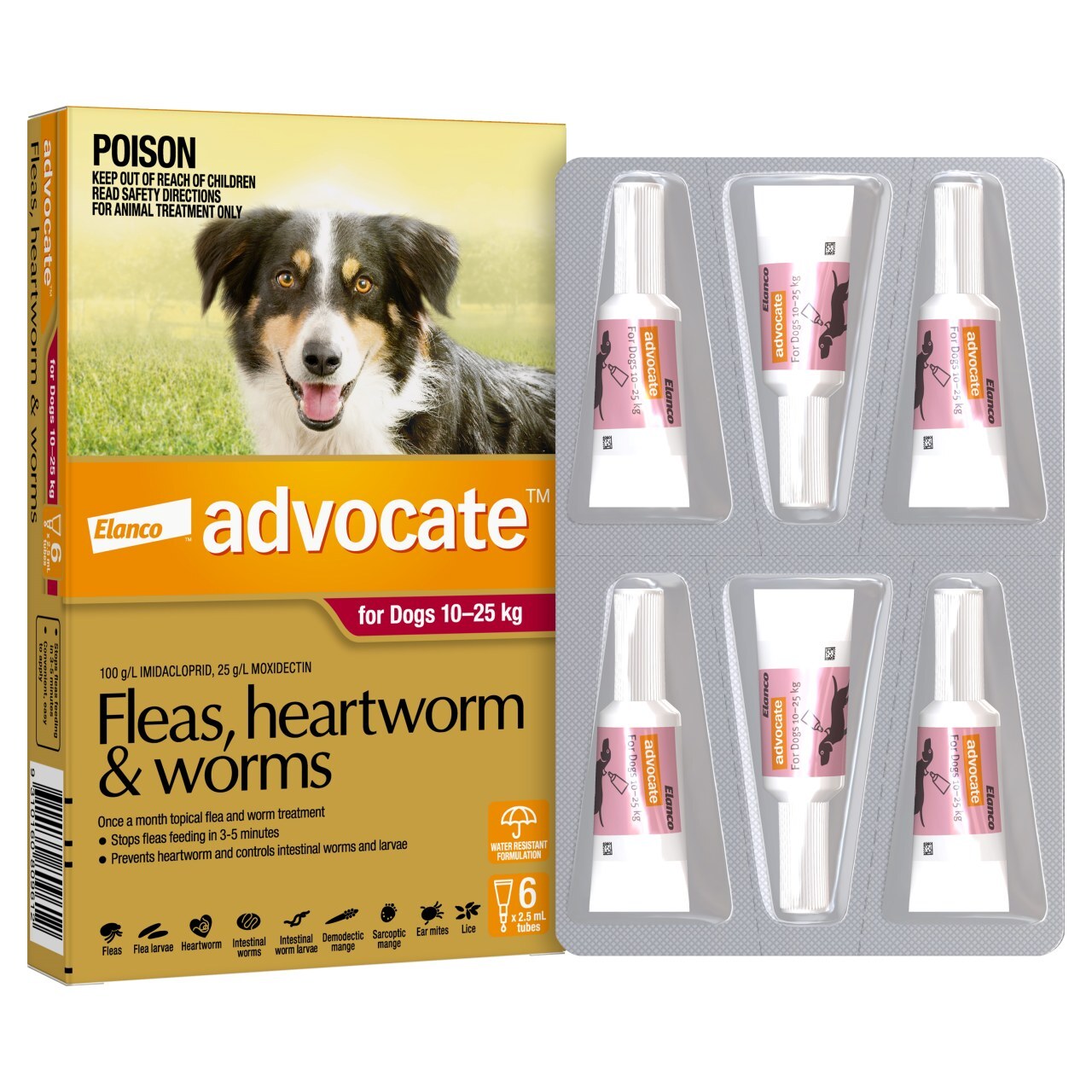 Advocate Spot-On Flea & Worm Control for Dogs 10-25kg - 6-pack image 2