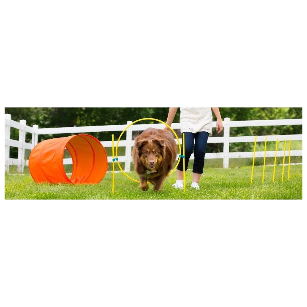 Outward Hound ZipZoom Outdoor Agility Kit for Dogs image 2