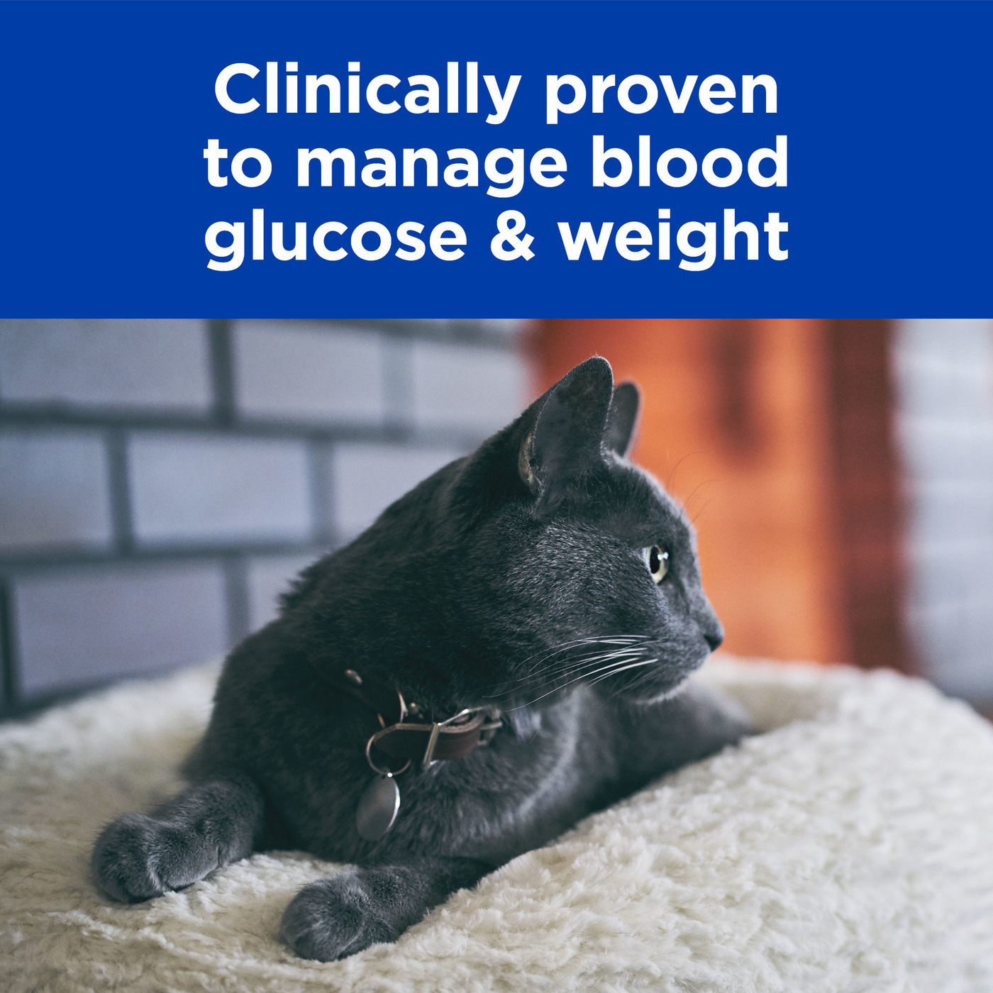 Hills Prescription Diet m/d Glucose/Weight Management Dry Cat Food 1.8kg image 2