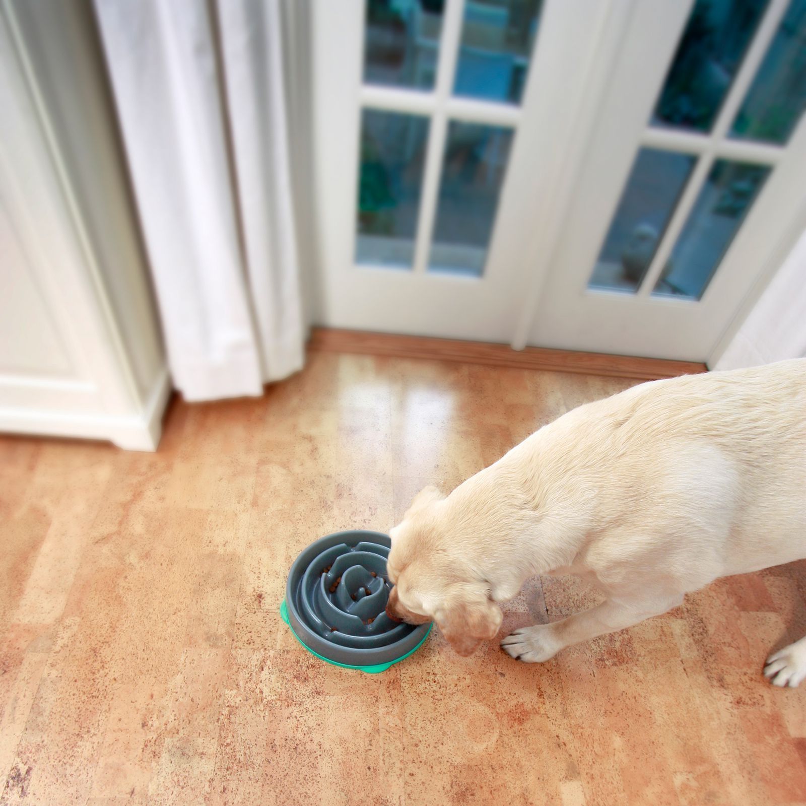 Outward Hound Teal Drop Fun Feeder Interactive Dog Bowl - Pet