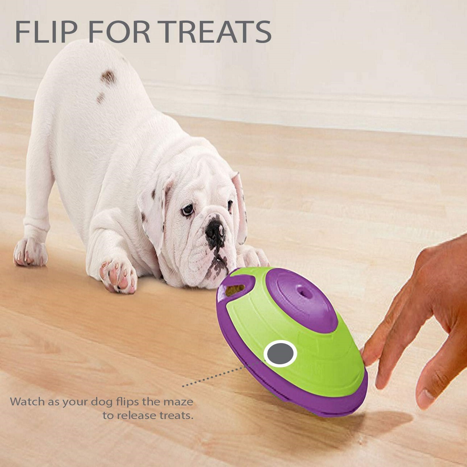 Treat Maze Interactive Puzzle Dog Toy by Nina Ottosson 