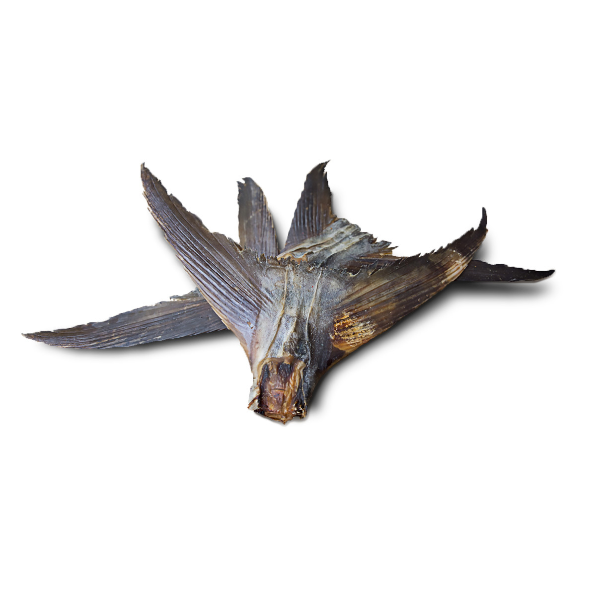 Large Fish Tail -  Naturally Dried Australian Dog Dental Treats - 5 Pieces image 2