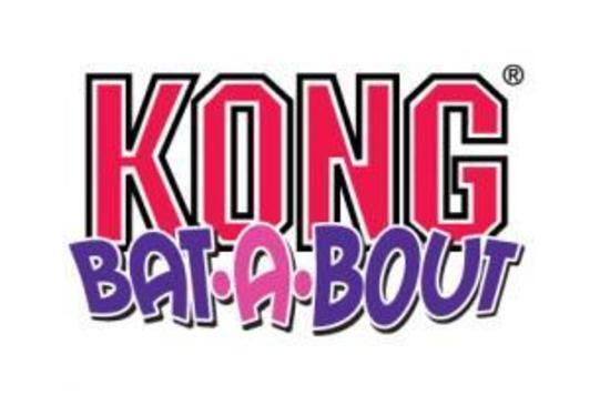 KONG Bat-A-Bout Spiral Cat Toy