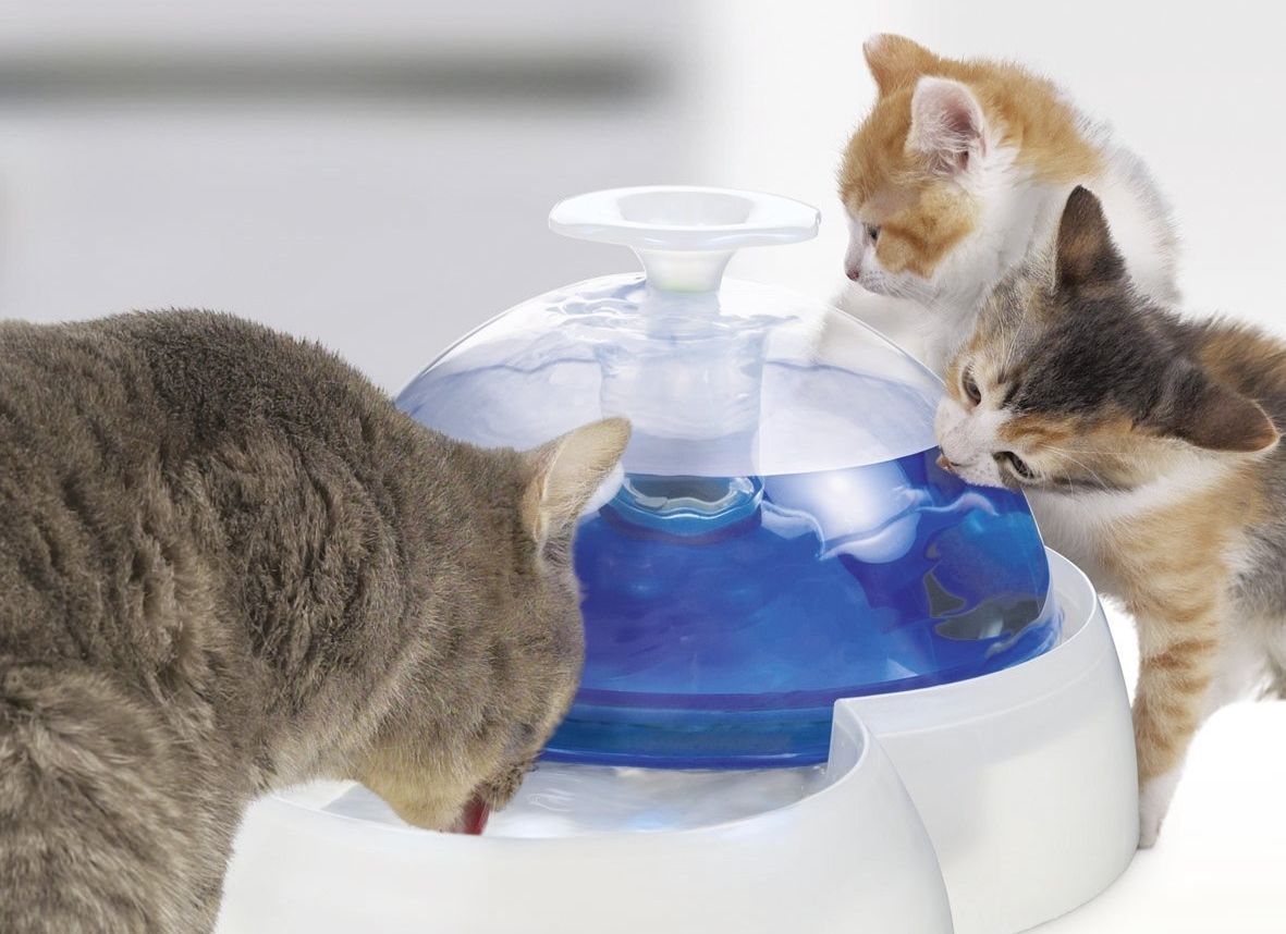 Catit Feeding & Drinking Station Combination Food Bowl & Water Fountain for Pets image 2