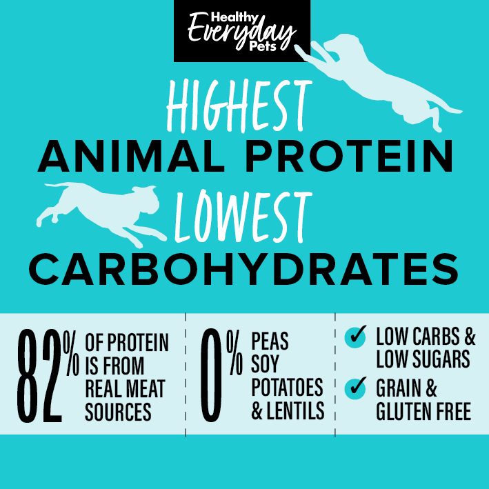 healthy everyday pets