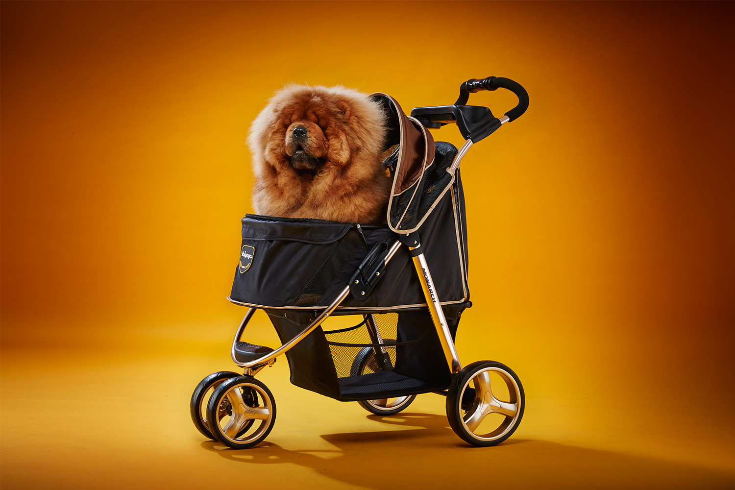 Ibiyaya "Monarch" Premium Pet Jogger Stroller - Luxury Gold image 2