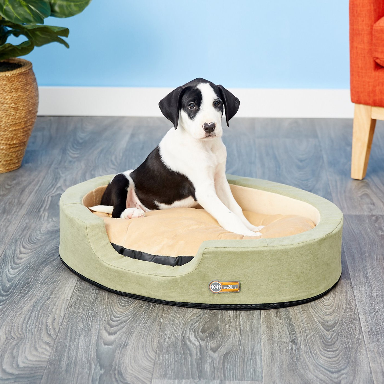 K&H Thermo Snuggler Low-Voltage Heated Pet Bed for Cats & Dogs in Sage Green image 2
