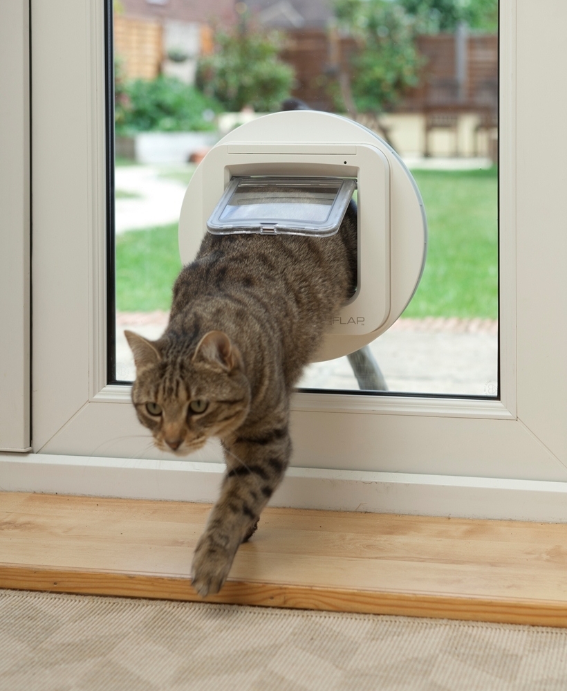 SureFlap Microchip Pet Door for Cats & Dogs - Large image 2