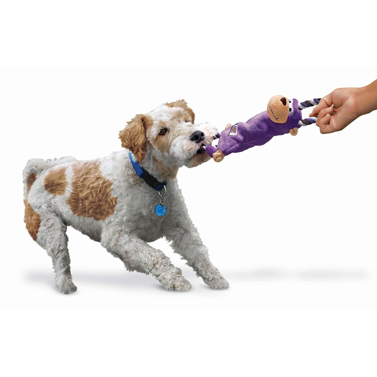 Tugger best sale dog toy