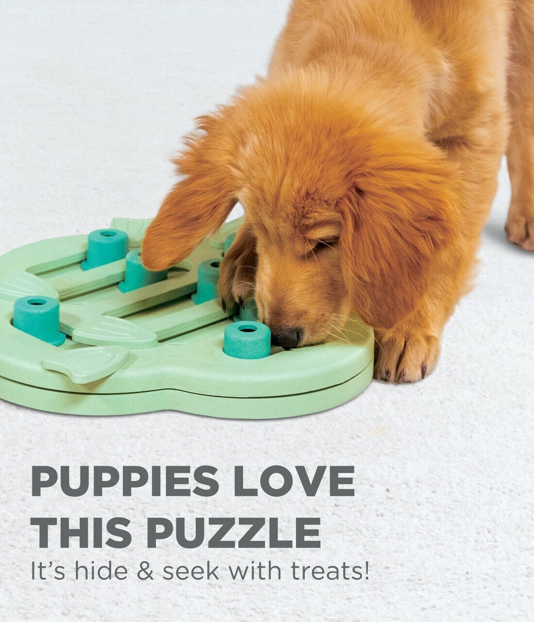 Nina Ottosson Hide & Slide Interactive Puzzle Dog Toy for Puppies - Level 2 image 2