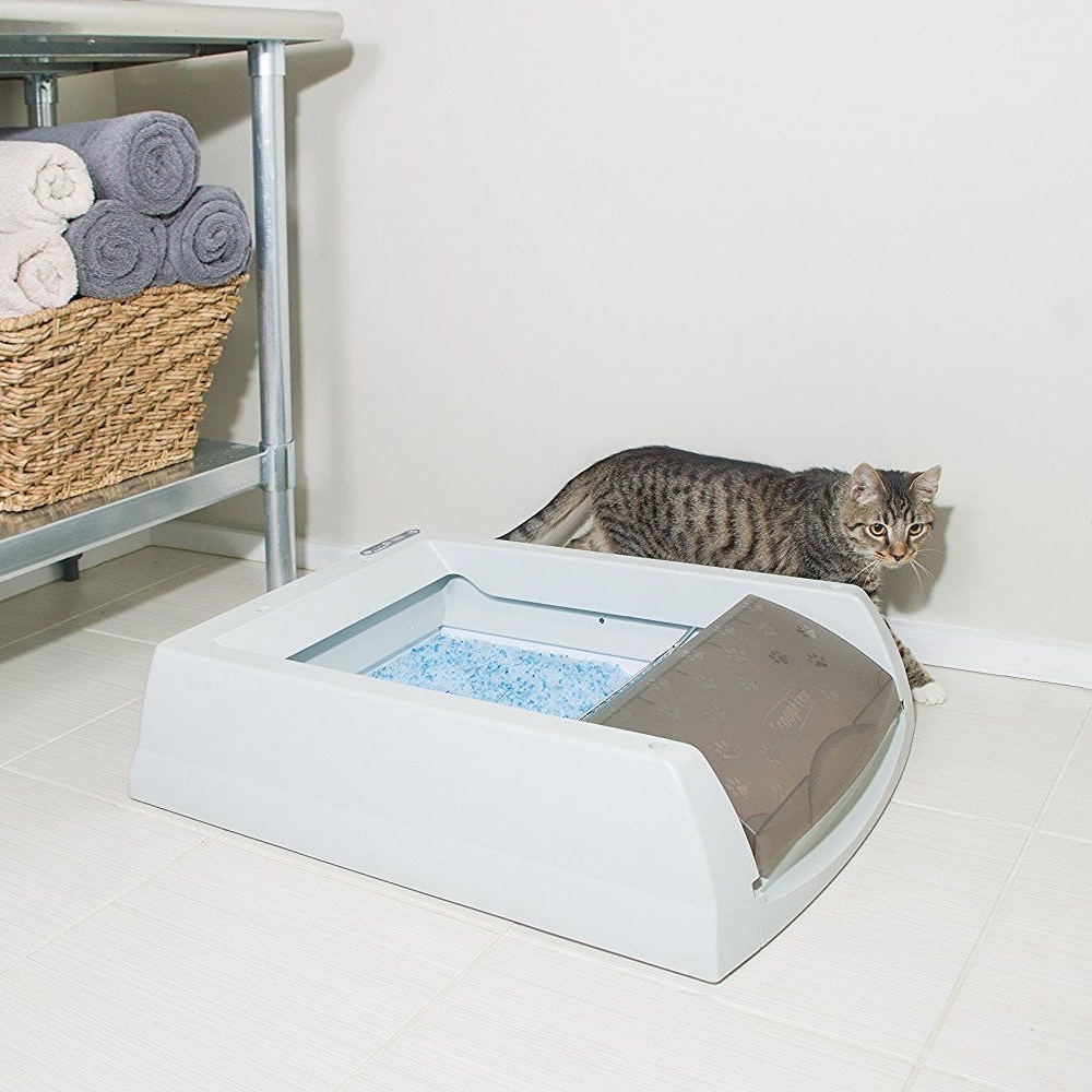 The Scoopfree Original Automatic Self-Cleaning Cat Litter Box image 2