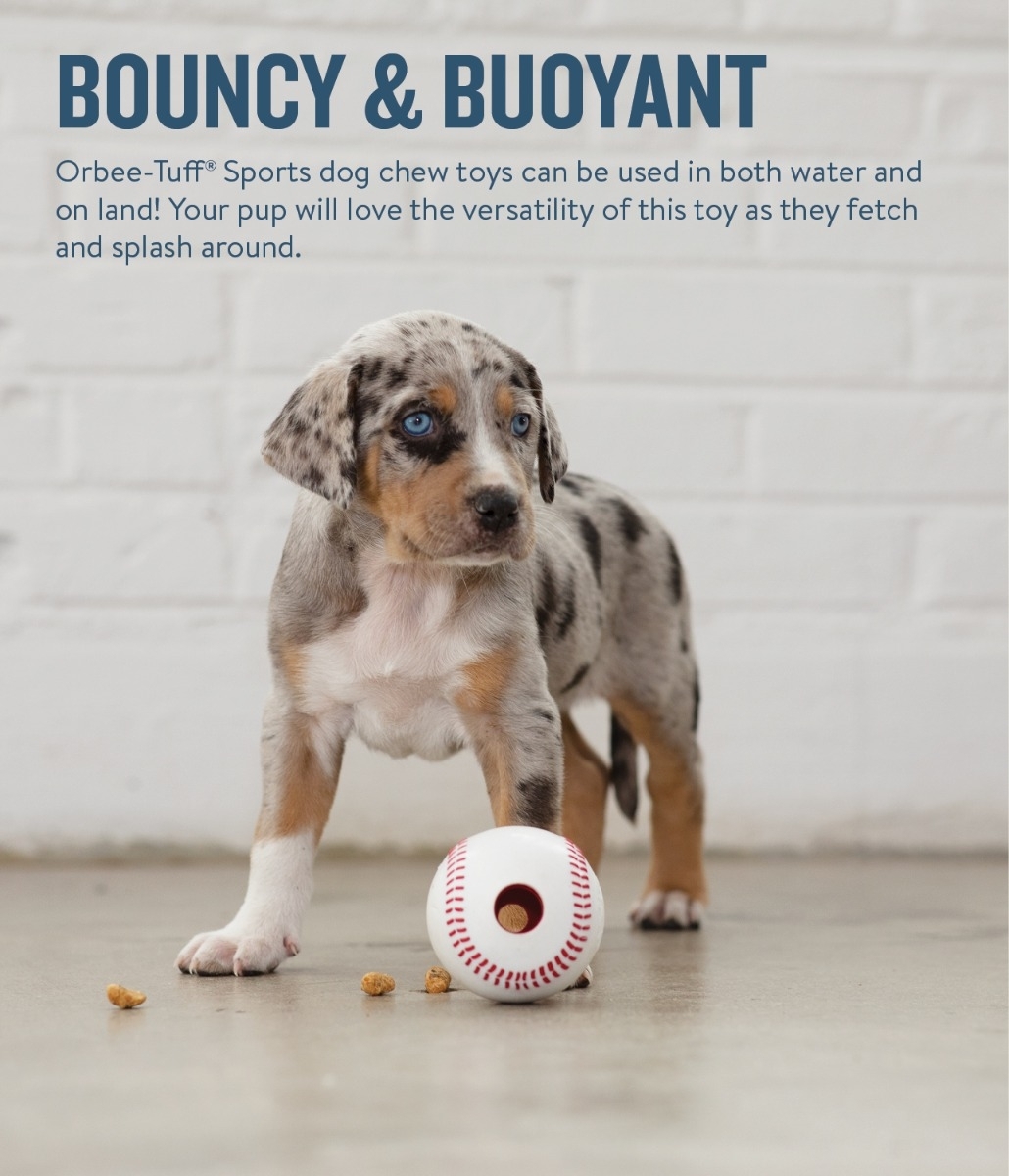 Planet Dog Durable Treat Dispensing & Fetch Dog Toy - Baseball  image 2