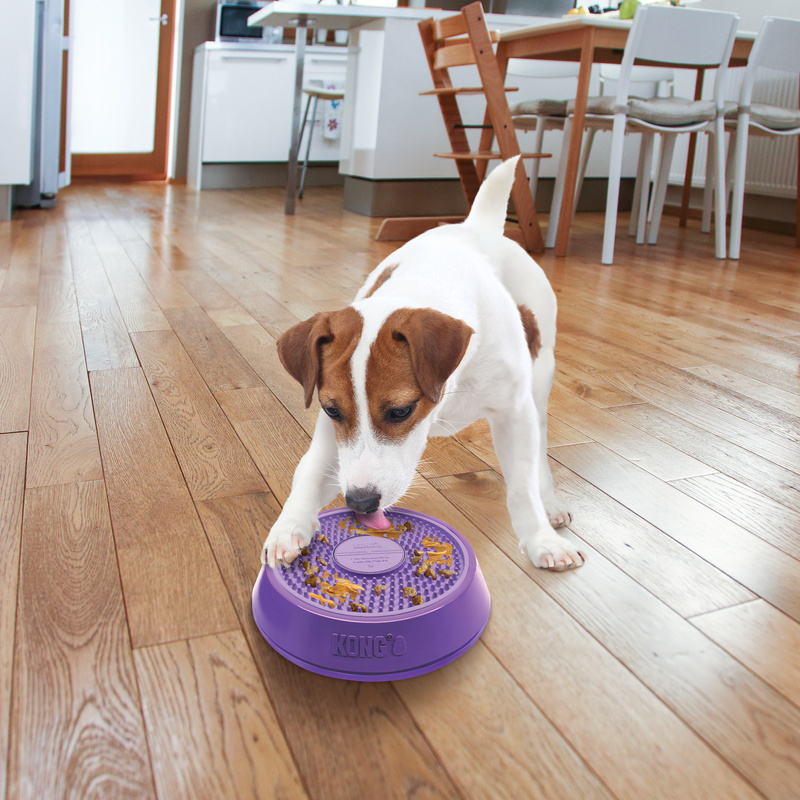 KONG Licks Spin Multi Layered Spinning Food Bowl Bulk Packs of 3 Kong