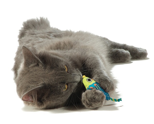 Petstages Catnip Chew Mice - Pair of Dental Care Cat Toys image 2