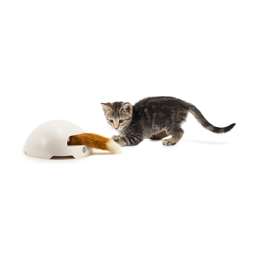 Frolicat fox hotsell