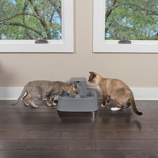 Drinkwell Charcoal Filtered Pet Water Fountain for Cats & Dogs - 7.5 Litre image 2