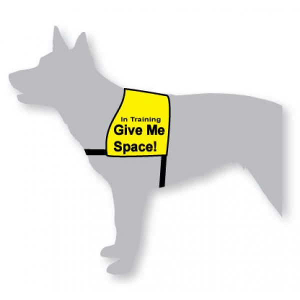 Black Dog "Give Me Space" Awareness Vest for Dogs image 2