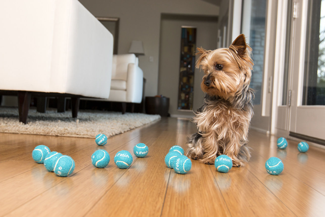 iFetch Interactive Ball Launcher for Dogs