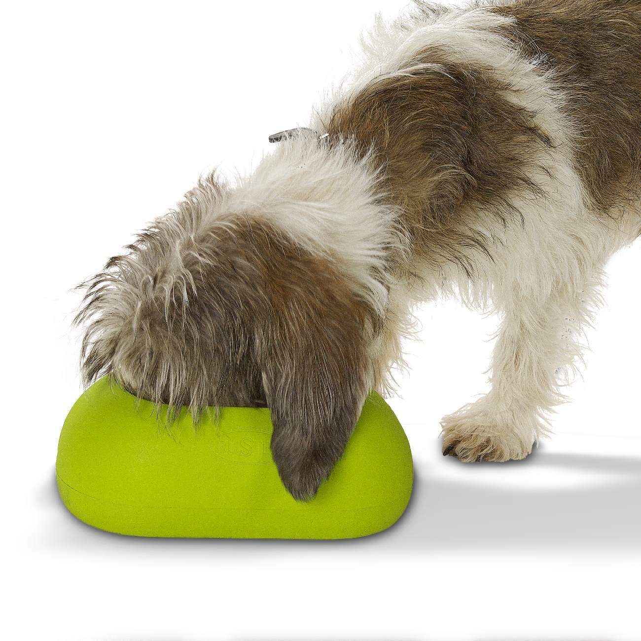 Buster IncrediBowl Wet and Dry Food Bowl for Long Eared Dogs - 2 Sizes image 2