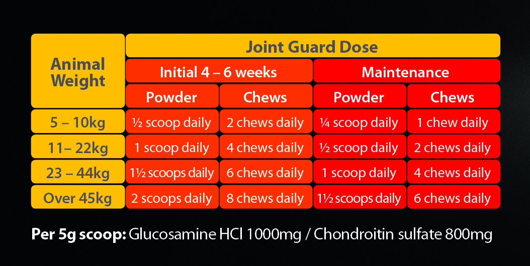 Joint Guard Health Supplement Powder for Dogs image 2