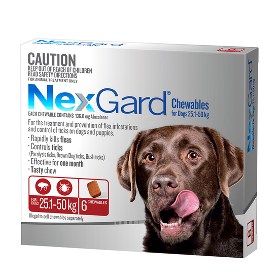 Nexgard Flea & Tick Chew for Dogs - 6 Pack image 2