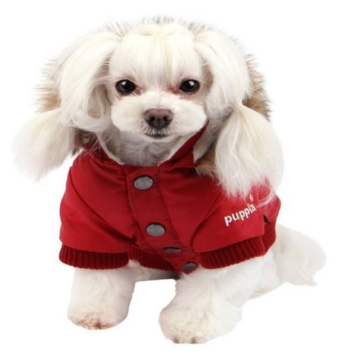 puppia dog jacket