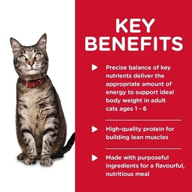 Hills Science Diet Adult Tender Dinners Chicken Cat Food 156g x 24 Cans image 2