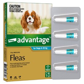 Advantage Spot-On Flea Control Treatment for Dogs 4-10kg - 4 Pack image 2