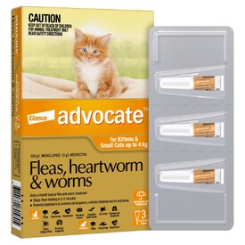 Advocate Spot-On Flea & Worm Control for Cats under 4kg - 3 pack image 2