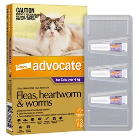 Advocate Spot-On Flea & Worm Control for Cats over 4kg - 3 Pack image 2