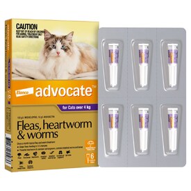 Advocate Spot-On Flea & Worm Control for Cats over 4kg - 6 Pack image 2