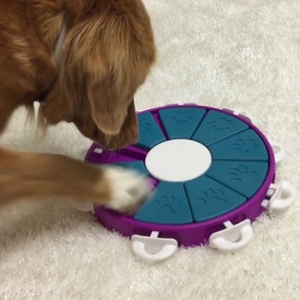 Nina Ottosson Interactive Treat Hiding Dog Toy Game - The Twister in Purple image 2
