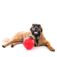 Aussie Dog Enduro Ball Non-Toxic Hard Plastic Tough Dog Toy - Large image 2