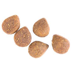 Black Hawk Healthy Benefits Dental Dry Dog Food image 2