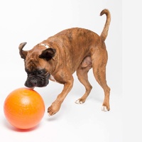 Aussie Dog Staffie Ball - Extra Tough Large Rattle Dog Toy image 2